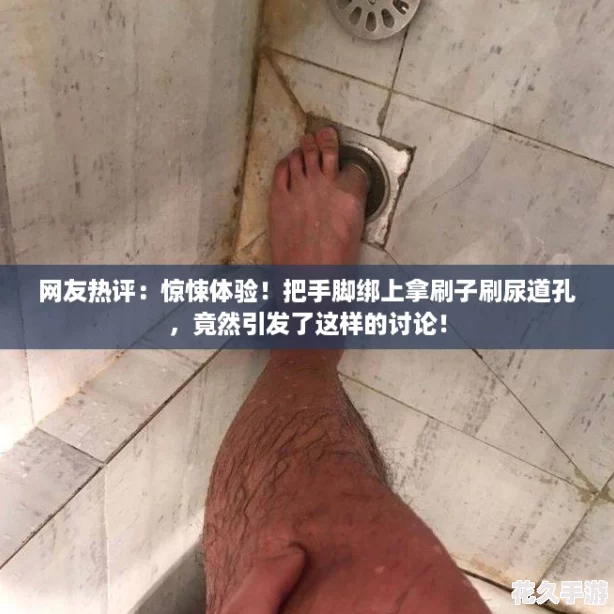 网友热评