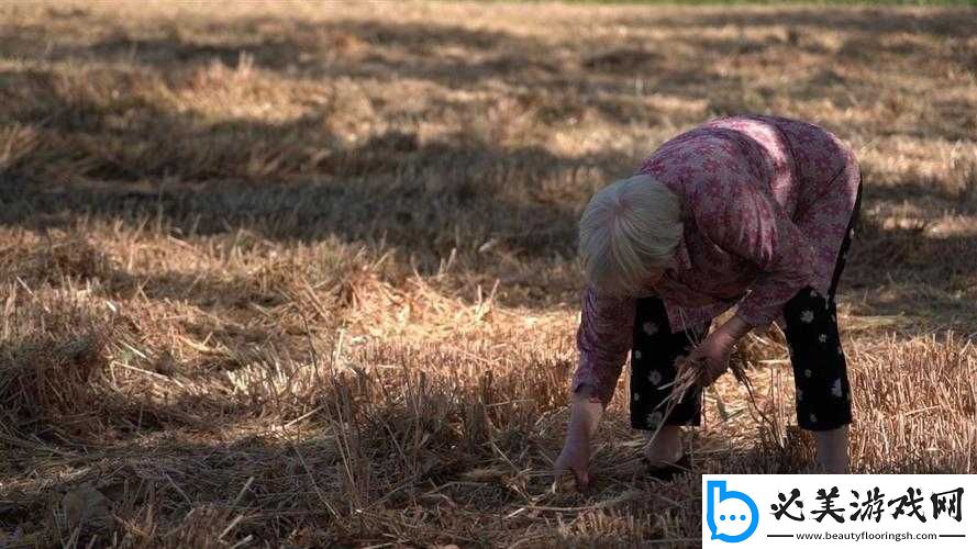 麦子地里的故事