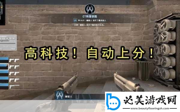 暴躁老阿姨csgo技巧揭秘暴躁老阿姨的csgo生存秘籍全解析