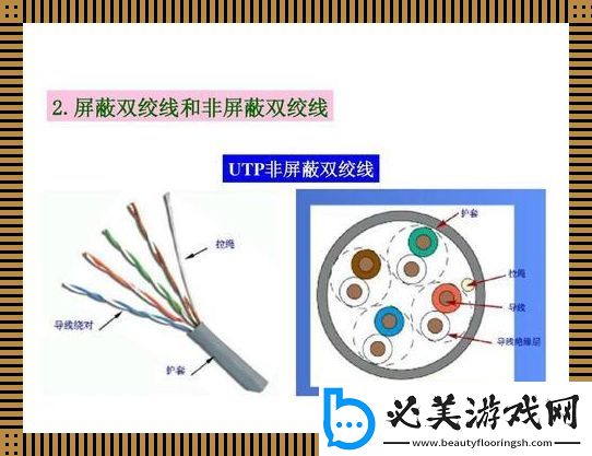 双绞线两分天下