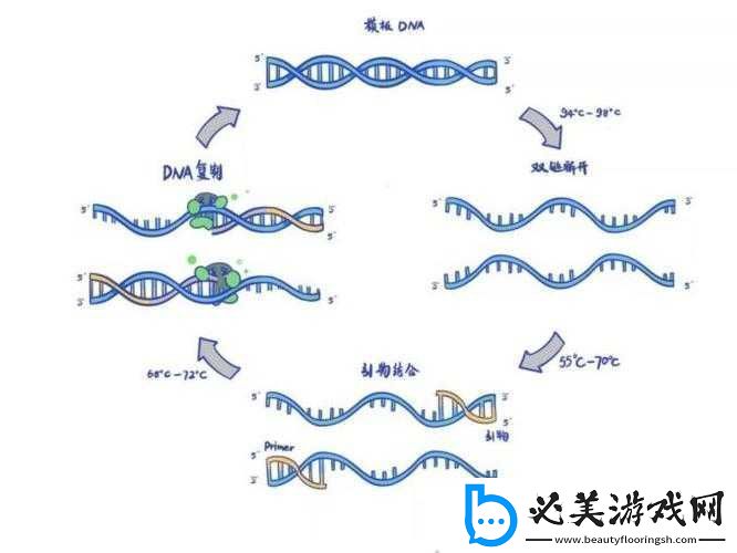 dna